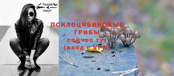 ГАЛЛЮЦИНОГЕННЫЕ ГРИБЫ Баксан