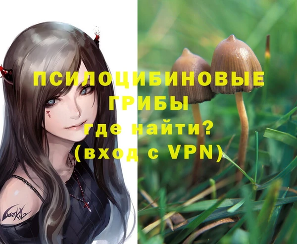 mdpv Балахна