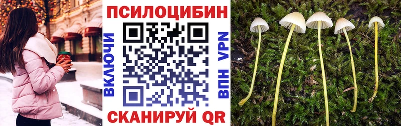 купить закладку  Белозерск  Псилоцибиновые грибы мицелий 